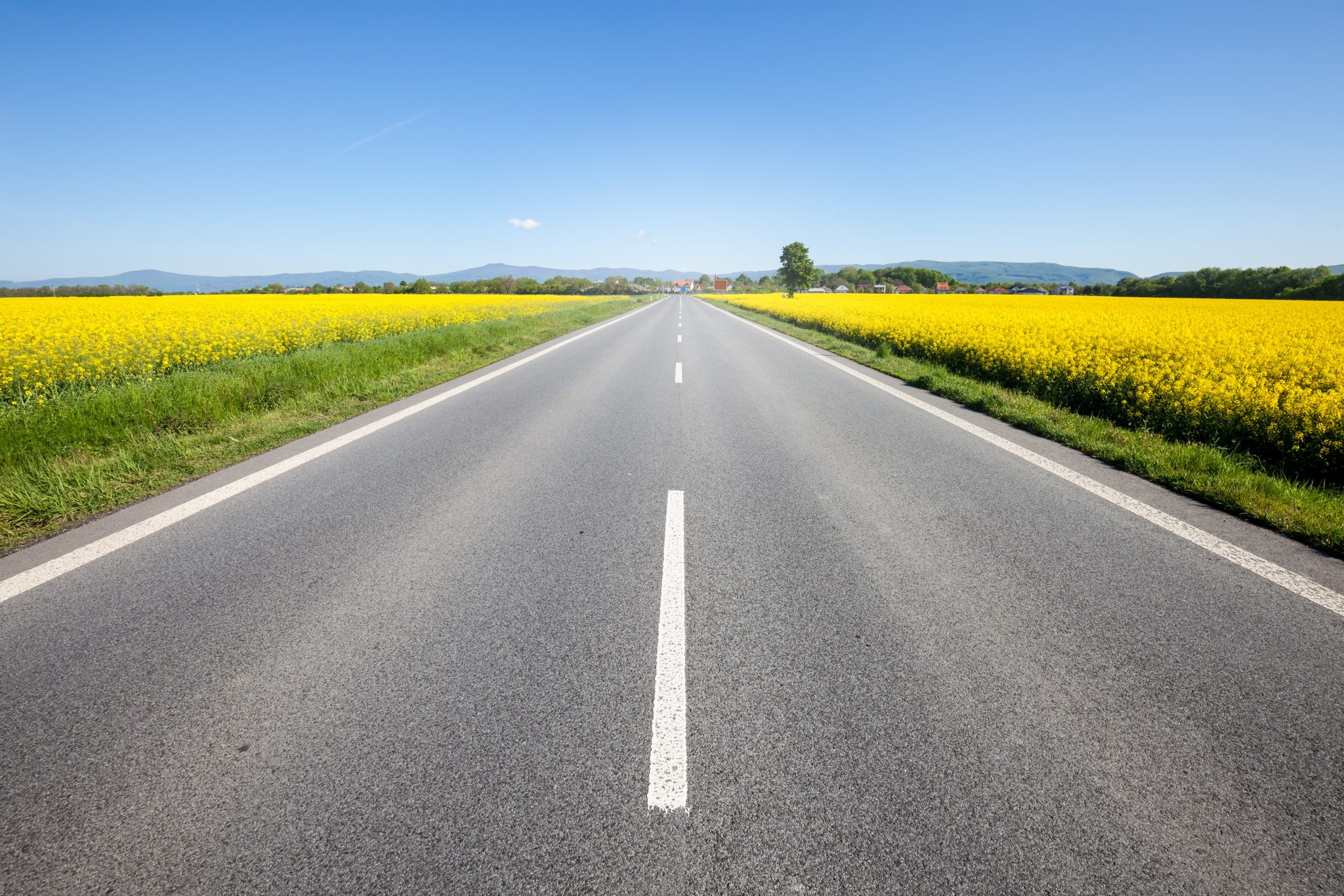 EV Consumer Behavior